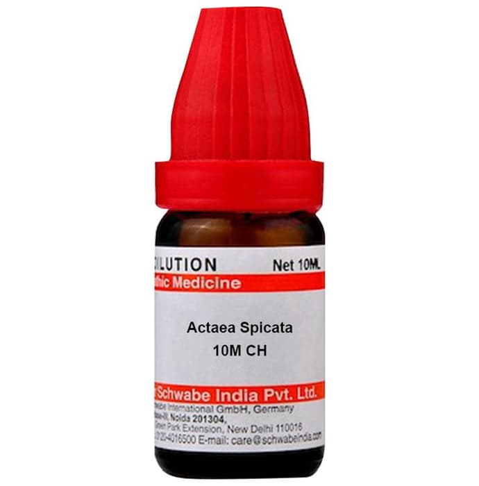 Dr. Willmar Schwabe India Actaea Spicata Dilution - Distacart