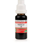 Thumbnail for Adel Homeopathy Kalmia Lat Mother Tincture Q
