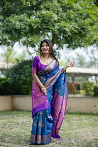 Vishnu Weaves Women's Blue Banarasi Silk Saree with Blouse - Distacart