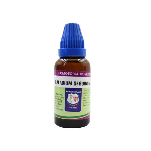 Father Muller Caladium Seguinum Mother Tincture Q - Distacart