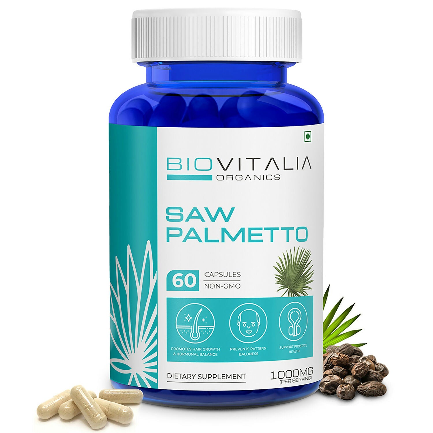 Saw Palmetto_1