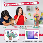 Thumbnail for Smartivity Human Body Toy For Kids 6-12 Years Body Organs & Functions