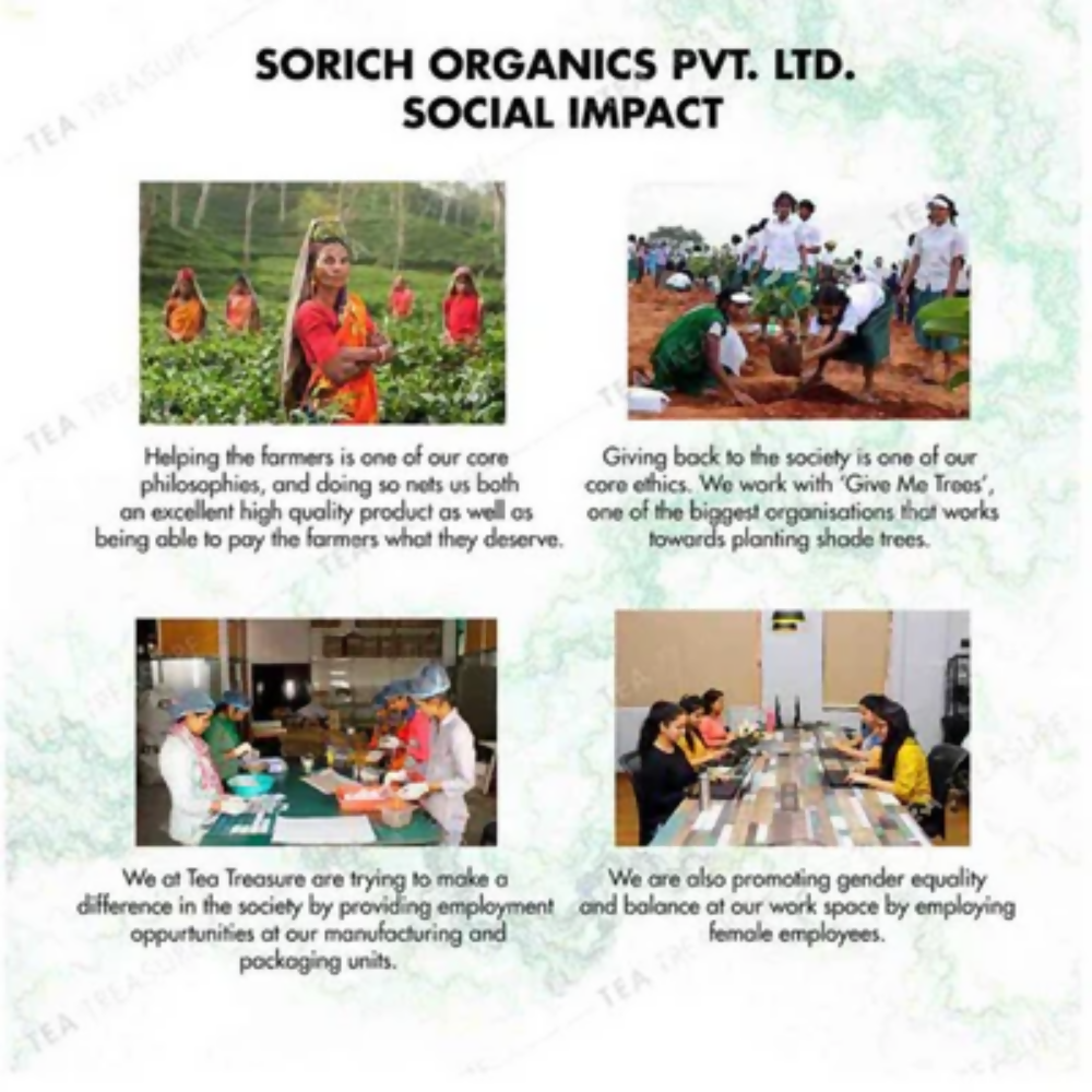 Tea Treasure Berry Blast Fruit Tea Bags - Distacart