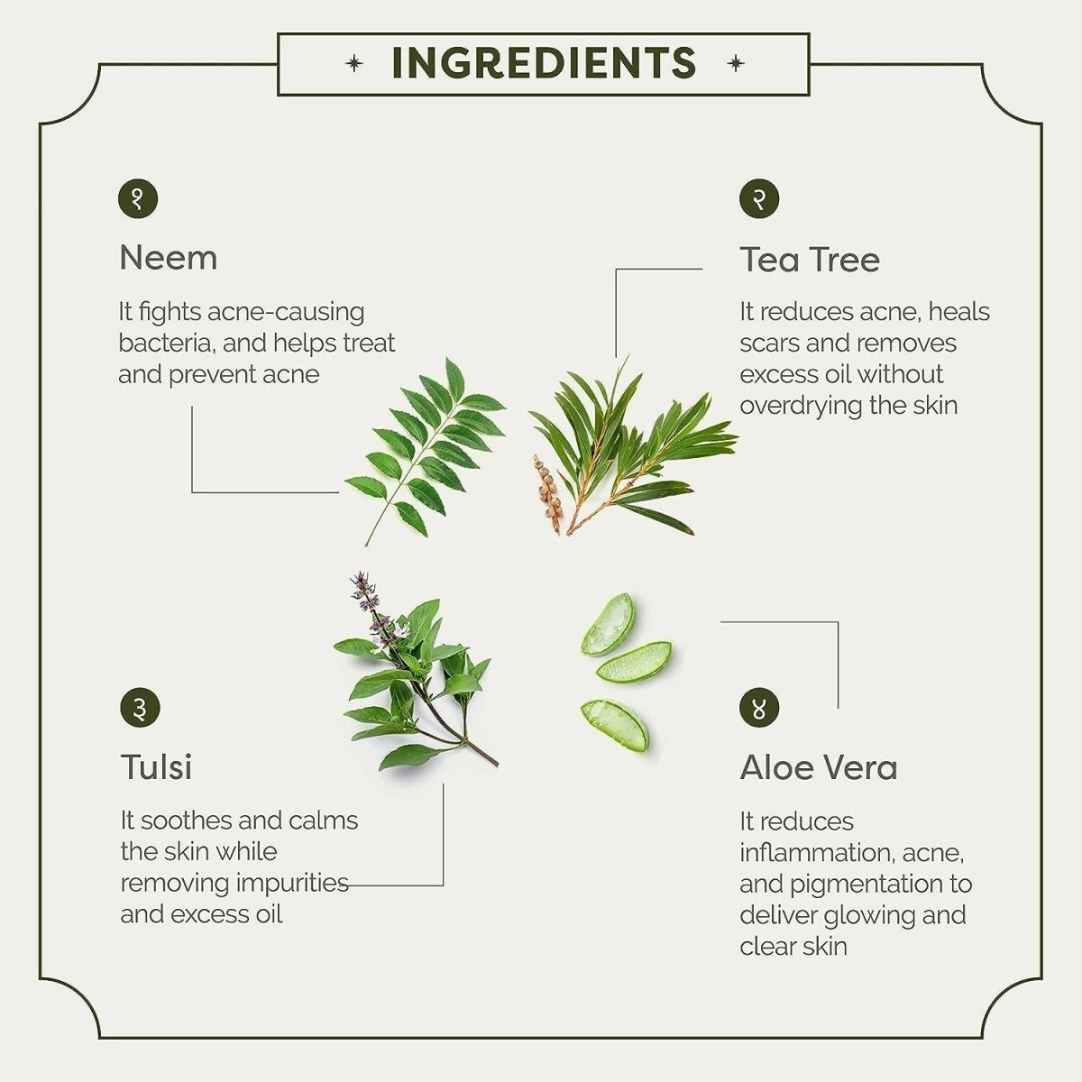 Ayuga 2% Neembadam Anti Acne Face Wash - Distacart