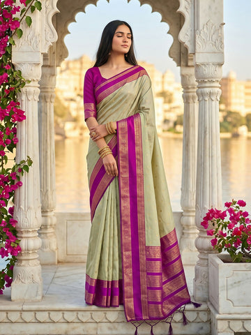 Shree Shyam Fashion Chiku Silk Blend Saree - Dista