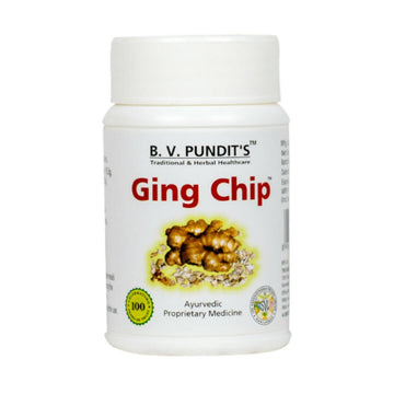 B V Pundit's Ging Chip - Distacart