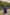 Jyoti Fashion Women's Purple Faux Blooming Embroidered Kurta with Trouser & Dupatta - Distacart