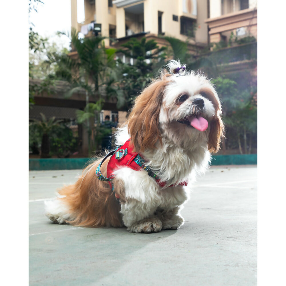 Waggety Adjustable Full Body Dog Harness - Comfortable Fit, Durable Polyester, Red - Dista