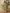 Yufta Dark Green Ikat Print Straight Strappy Kurta Trouser And Dupatta Set