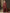 Anouk Maroon & Gold-Toned Woven Design Zari Pure Georgette Kanjeevaram Saree - Distacart