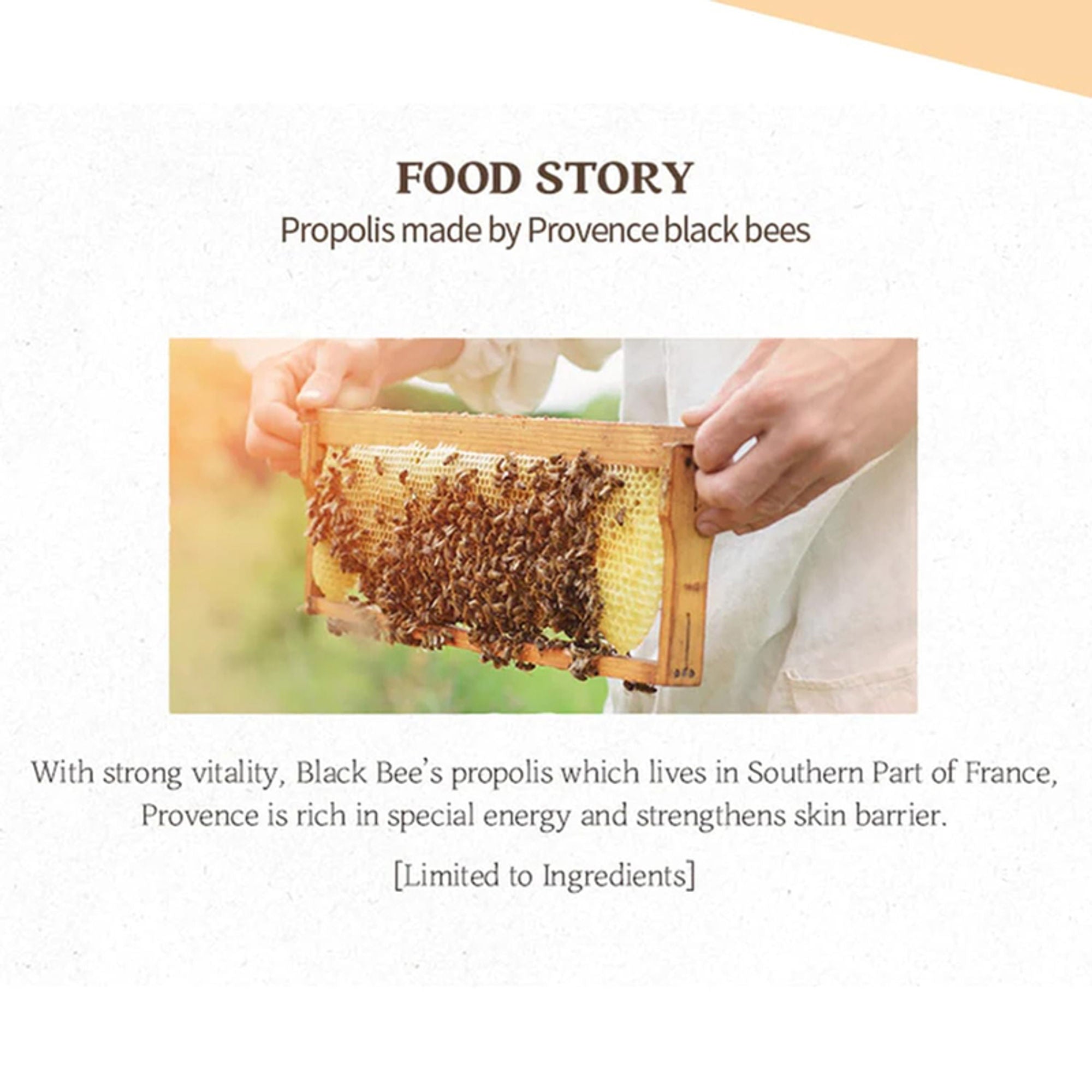 Skinfood Royal Honey Propolis Enrich Toner - Distacart