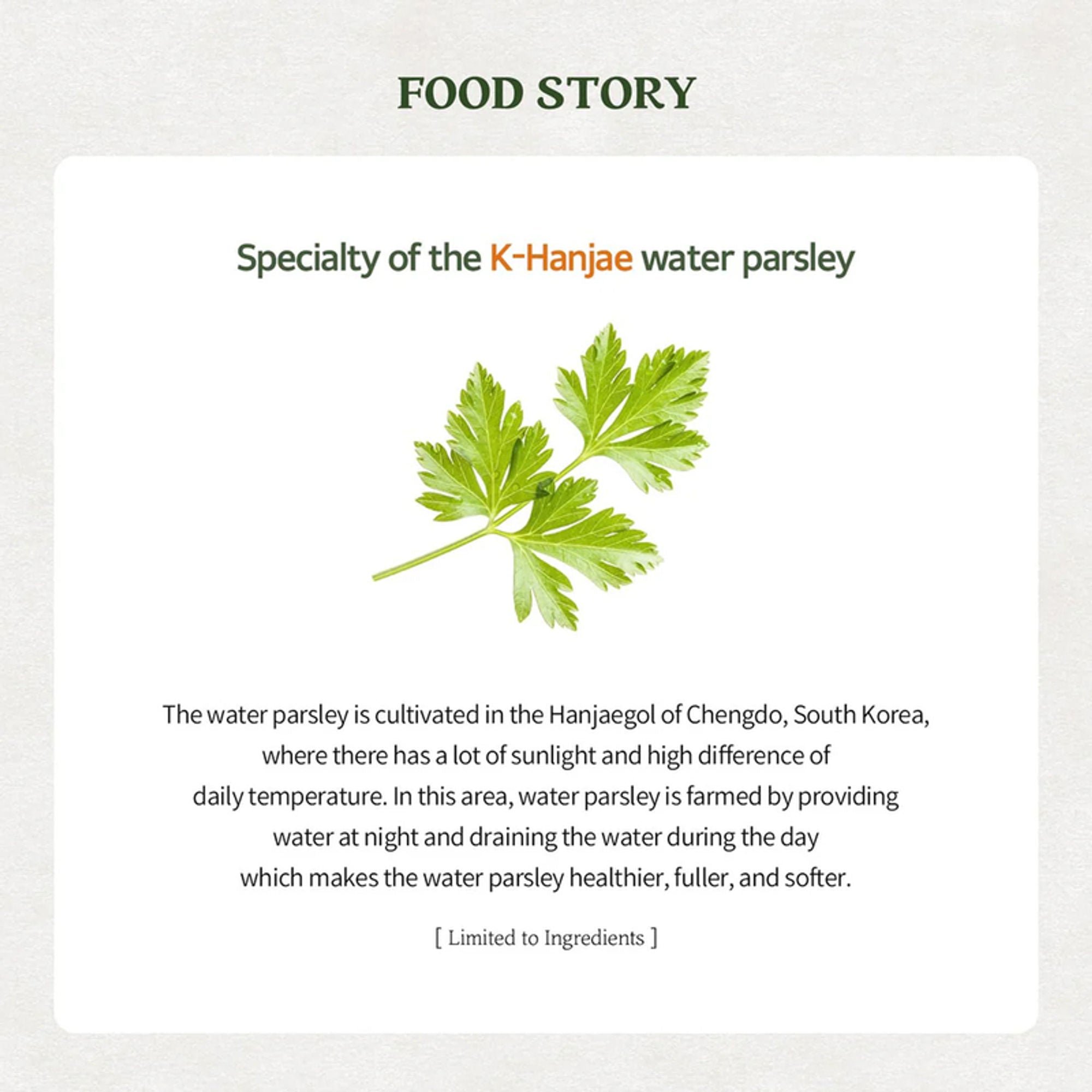 Skinfood Pantothenic Water Parsley Clear Pad - Distacart