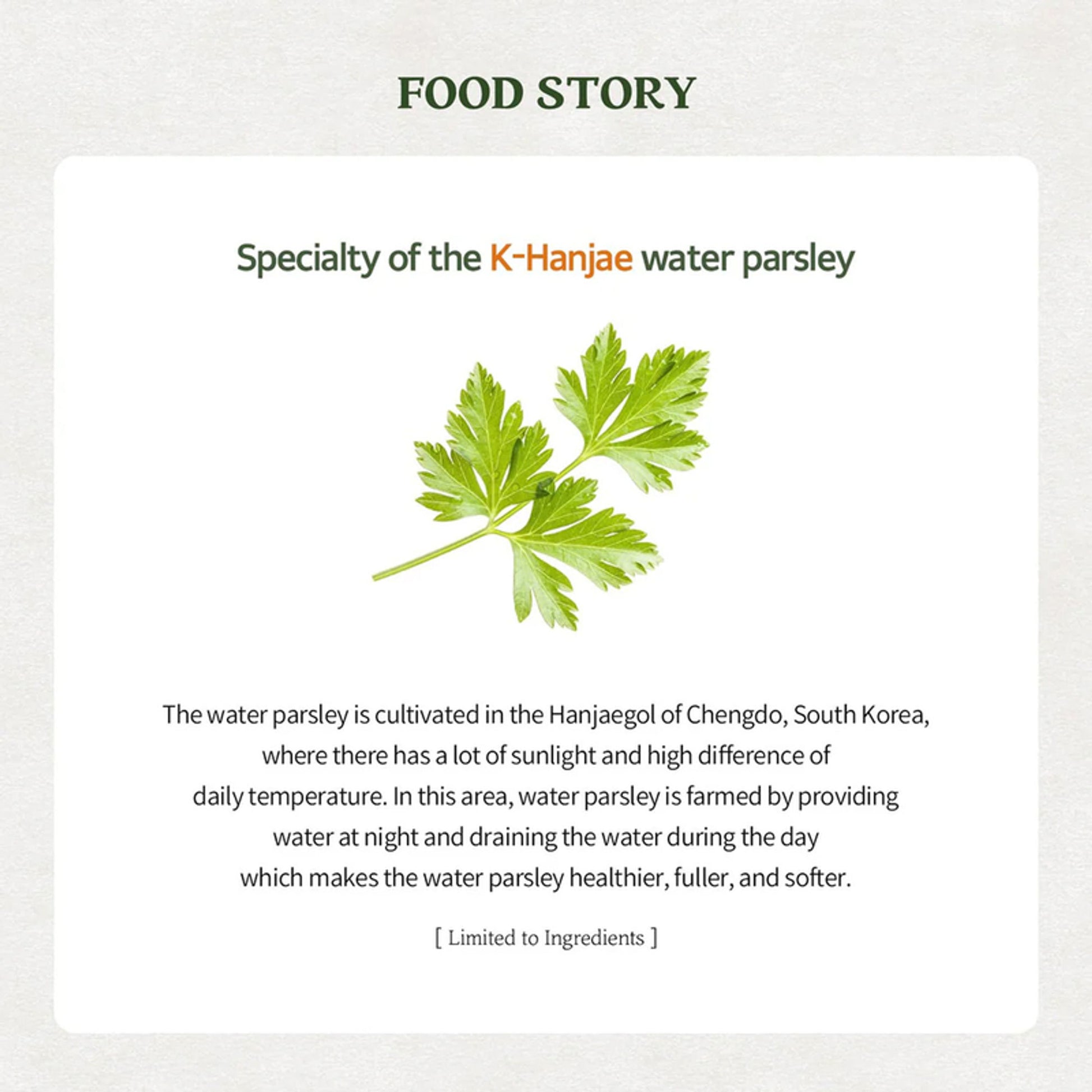 Skinfood Pantothenic Water Parsley Clear Pad - Distacart