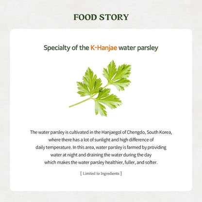 Skinfood Pantothenic Water Parsley Clear Pad - Distacart