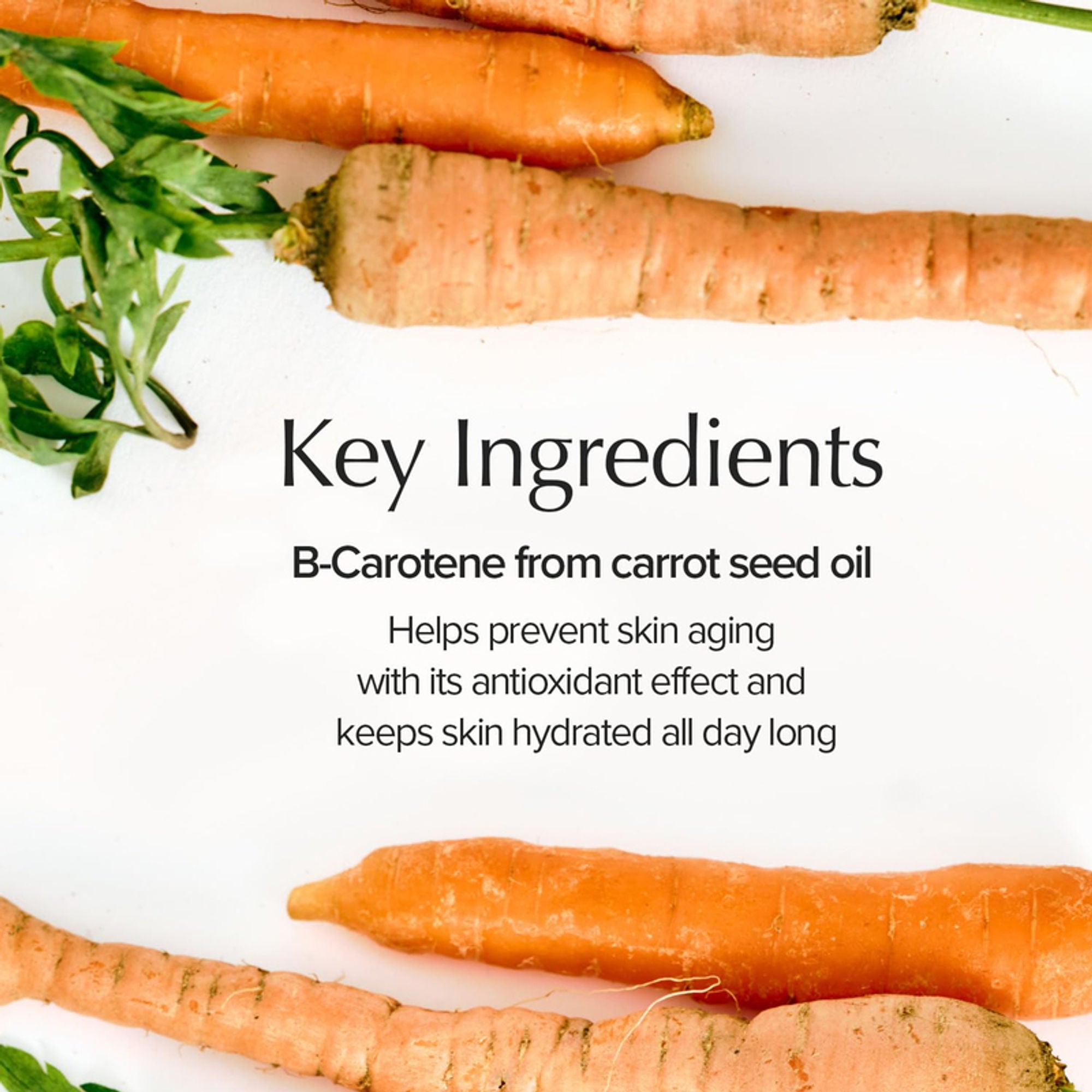 Skinfood Carrot Carotene Moist Effector - Distacart