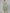 Aks Floral Printed Regular A-Line Kurta With Trousers - Distacart