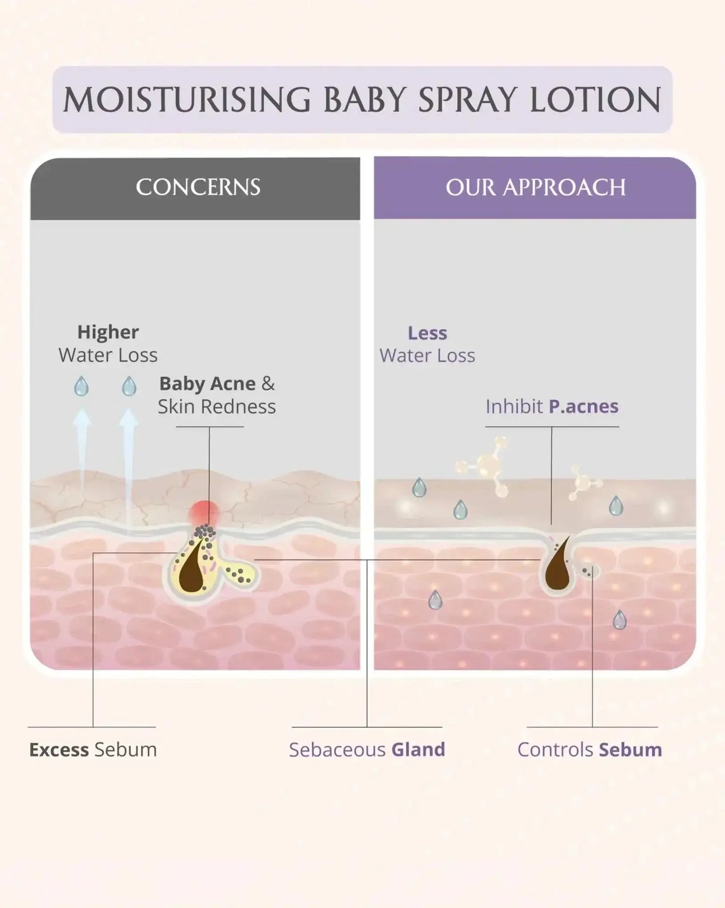 AreoVeda Deep Moisturising Kit - Distacart