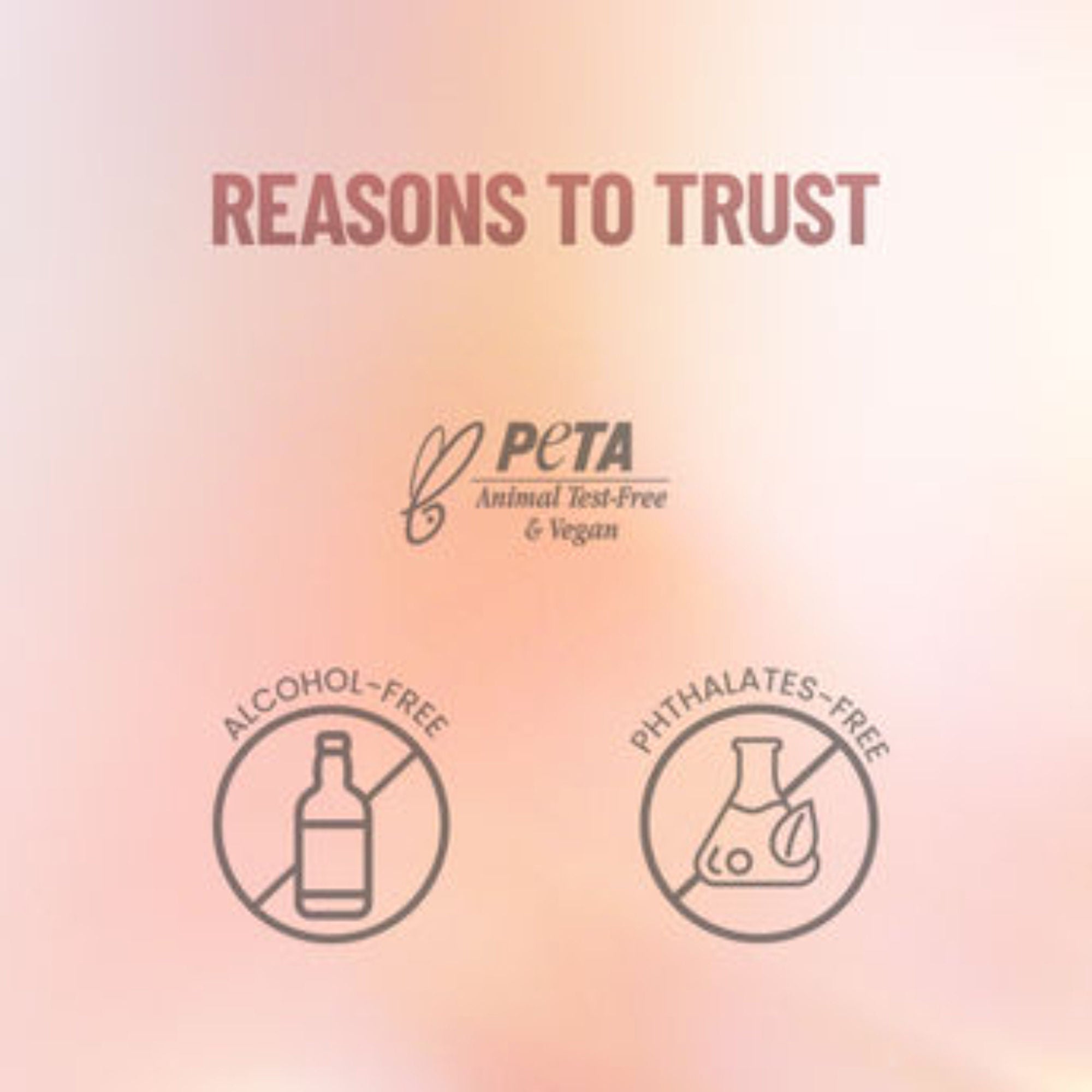 Swiss Beauty Pro Blush & Highlight - Shade 04 - Distacart