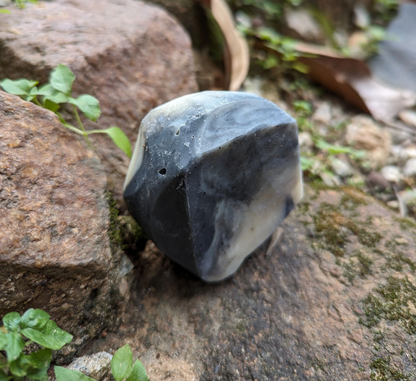 Coconess Stone Soap - Dista