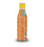 Thumbnail for Society Iced Tea Bottle Orange Ginger Lemongrass Flavour