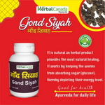 Thumbnail for Herbal Canada Gond Siyah Powder