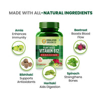 Thumbnail for Himalayan Organics Organic B12 500mg Vegetarian Capsules - Distacart
