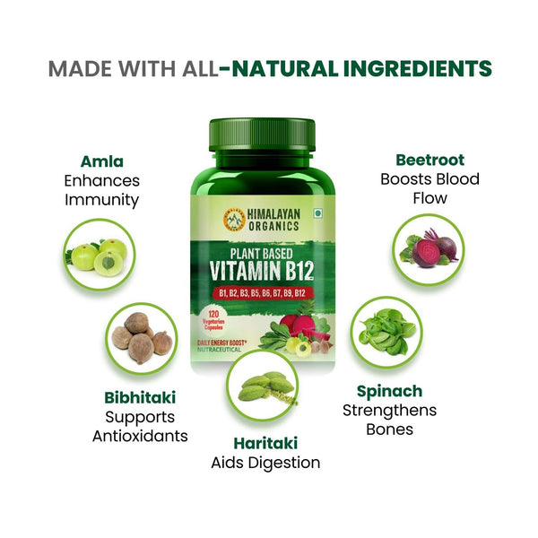 Himalayan Organics Organic B12 500mg Vegetarian Capsules - Distacart