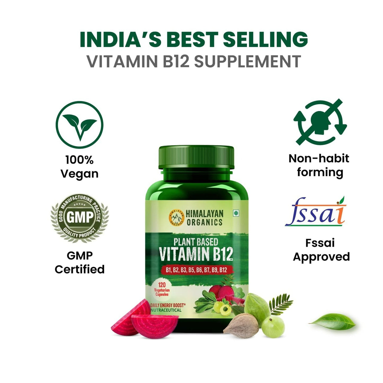Himalayan Organics Organic B12 500mg Vegetarian Capsules - Distacart