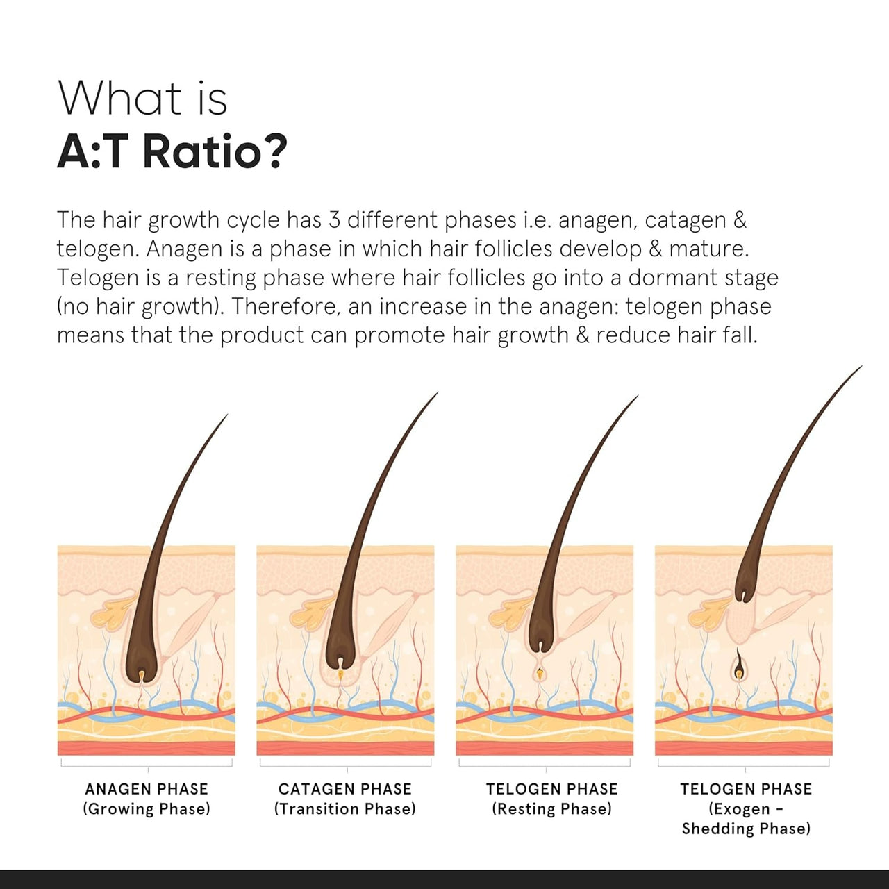 Minimalist Hair Growth Actives 18% - Distacart