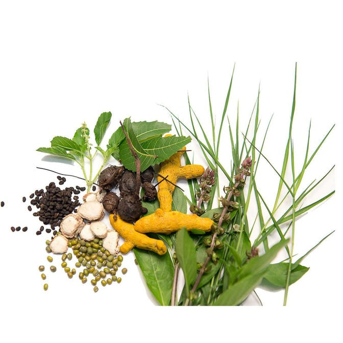 Isha Life Ojasvini Herbal Snanam Powder (Bath Powder) - Distacart
