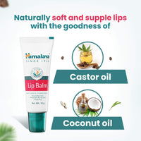 Thumbnail for Himalaya Herbals Lip Balm - Distacart