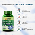 Thumbnail for Himalayan Organics Probiotics Supplement 50 billion Prebiotics Capsules - Distacart