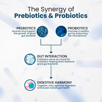 Thumbnail for Himalayan Organics Probiotics Supplement 50 billion Prebiotics Capsules - Distacart