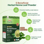 Thumbnail for Radico Organic Herbal Henna Powder