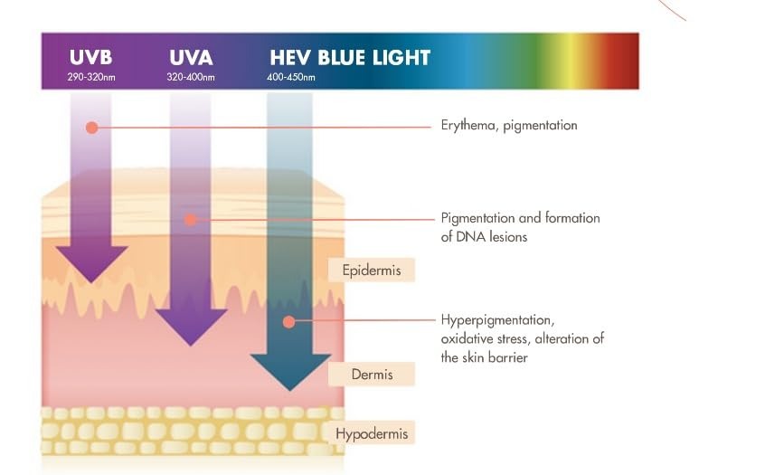 Avene Very High Protection Cream SPF 50+ - Distacart