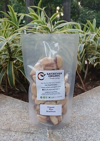 Satjeevan Organic Raw Brazilnuts