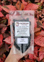 Thumbnail for Satjeevan Organic Dried Blueberries