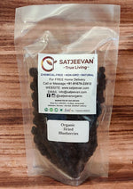 Thumbnail for Satjeevan Organic Dried Blueberries