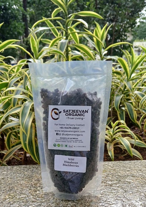 Satjeevan Wild Himalayan Blackberries