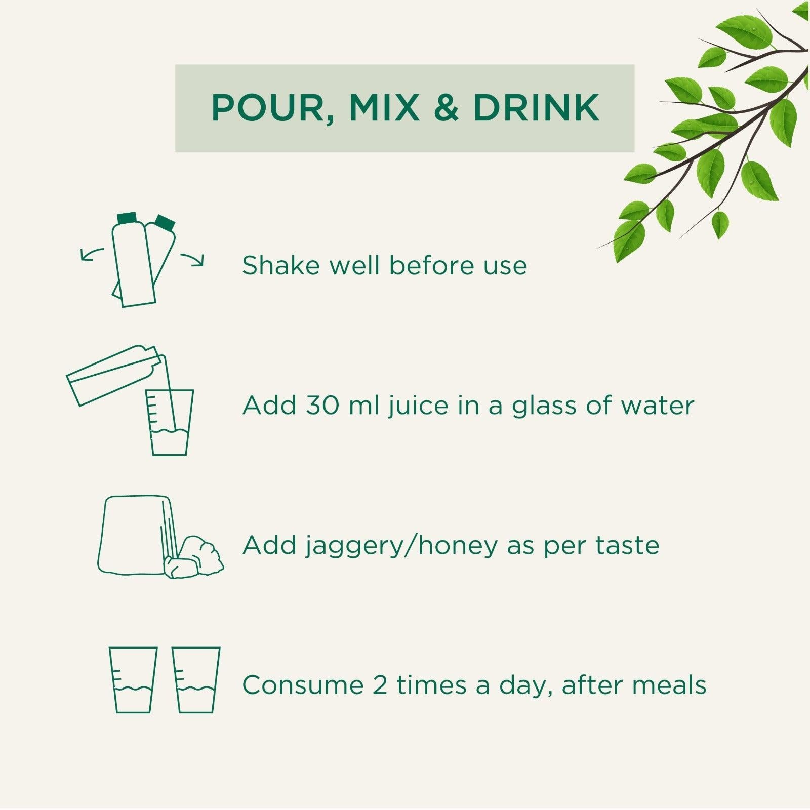 Vitro Naturals I Am Healing Amla Arjuna Juice