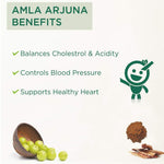 Thumbnail for Vitro Naturals I Am Healing Amla Arjuna Juice