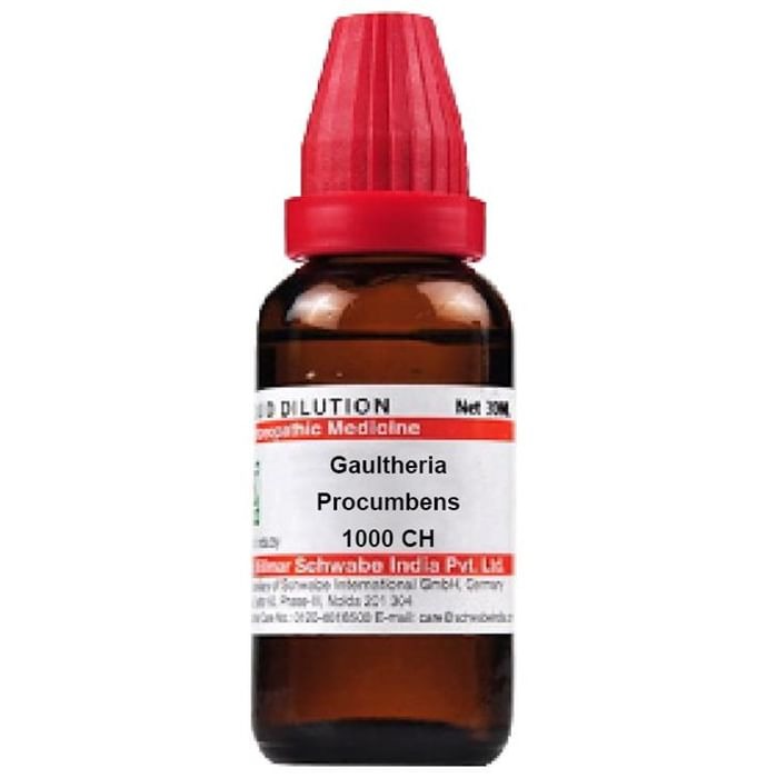 Dr. Willmar Schwabe India Gaultheria Procumbens Dilution - Distacart