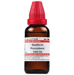 Thumbnail for Dr. Willmar Schwabe India Gaultheria Procumbens Dilution - Distacart