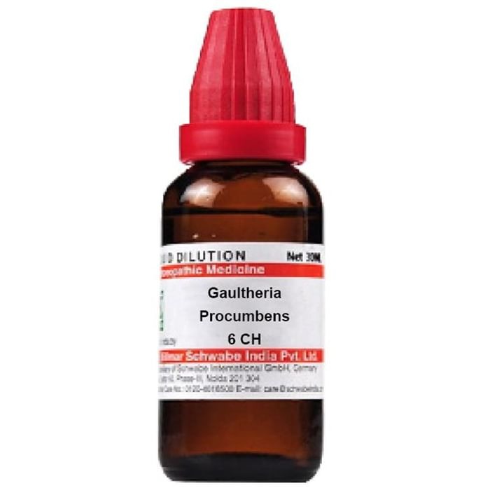 Dr. Willmar Schwabe India Gaultheria Procumbens Dilution - Distacart