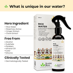 Thumbnail for Avimee Herbal Rice Water for Hair and Skin - Distacart