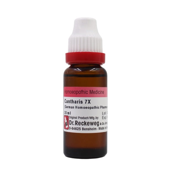 Dr. Reckeweg Cantharis Mother Tincture Q - Distacart