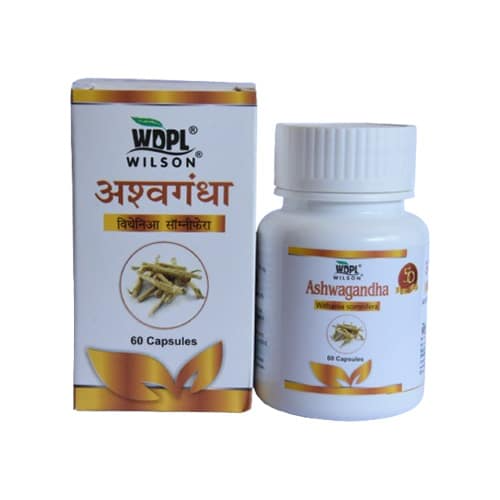 Wilson Ashwagandha Capsules - Distacart