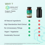 Thumbnail for Merlion Naturals Guggulu 500mg Tablets - Distacart