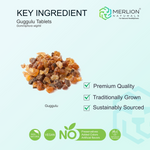 Thumbnail for Merlion Naturals Guggulu 500mg Tablets - Distacart