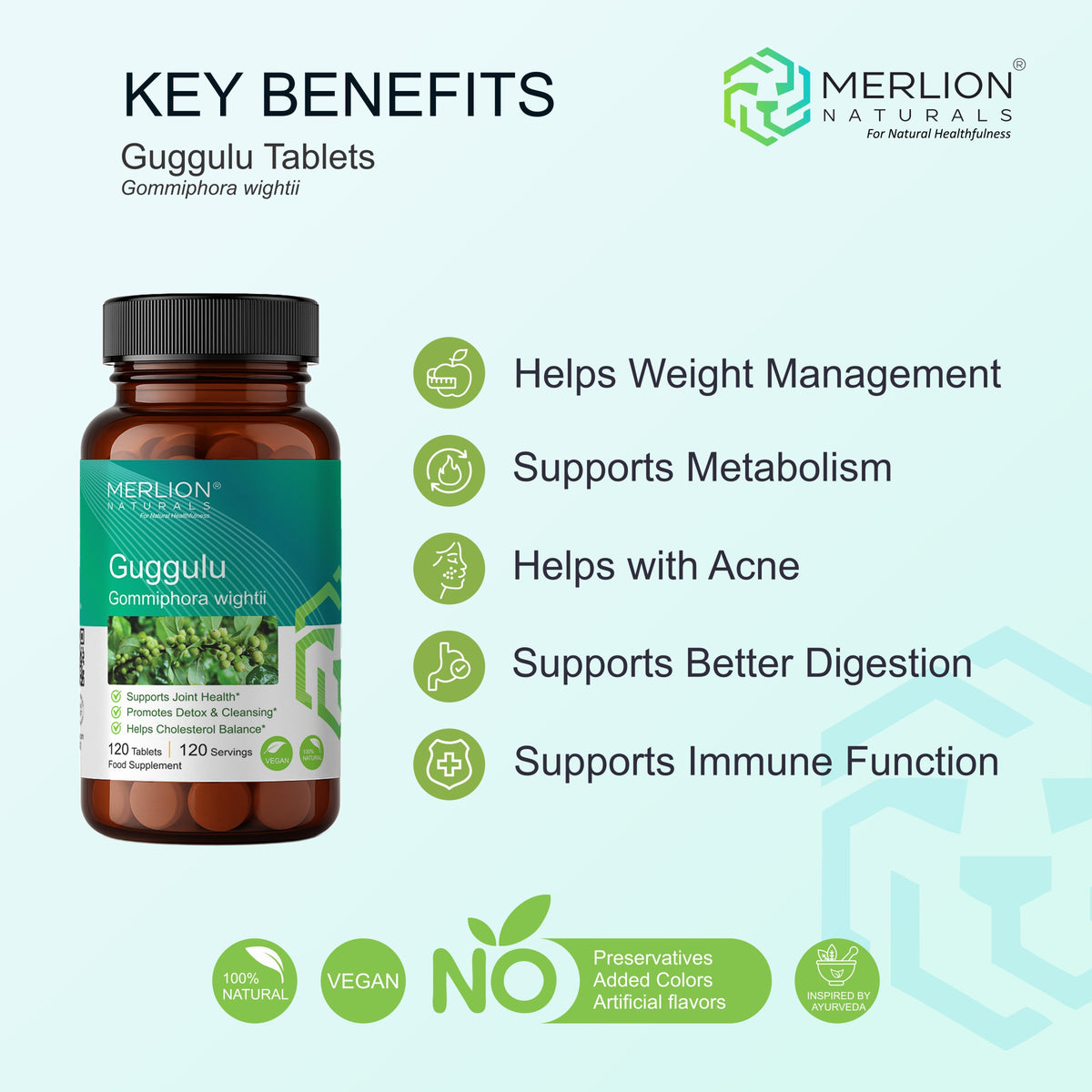 Merlion Naturals Guggulu 500mg Tablets - Distacart